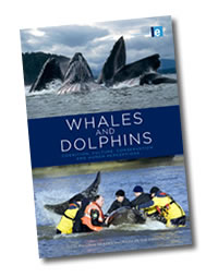 Whales and Dolphins