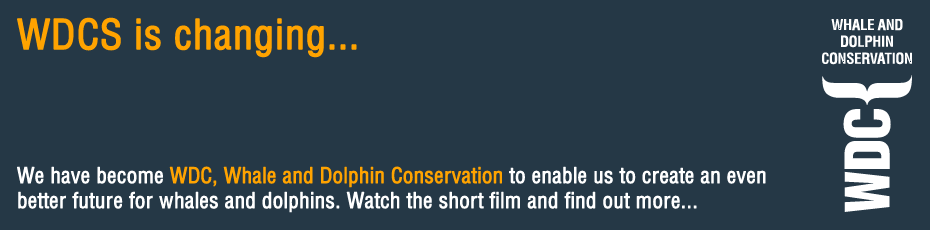 Whale and Dolphin Conservation