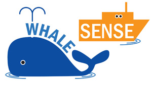 Whale Sense