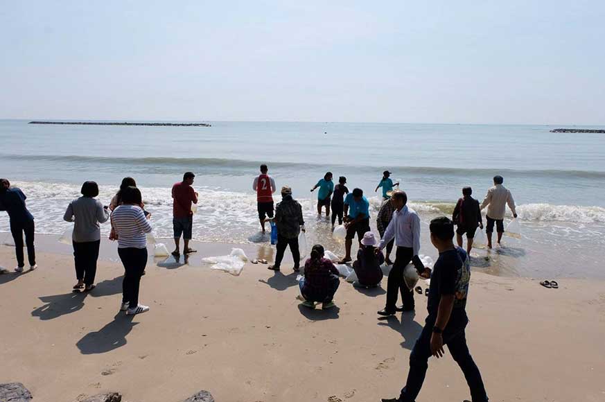 การอนุรักษ์ชายหาด